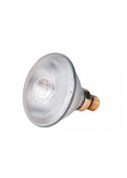 Philips Lamp  110Vot & 220 Vot