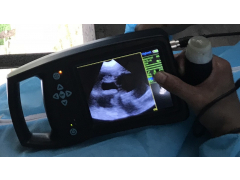 Veterinary Ultrasound Scanner